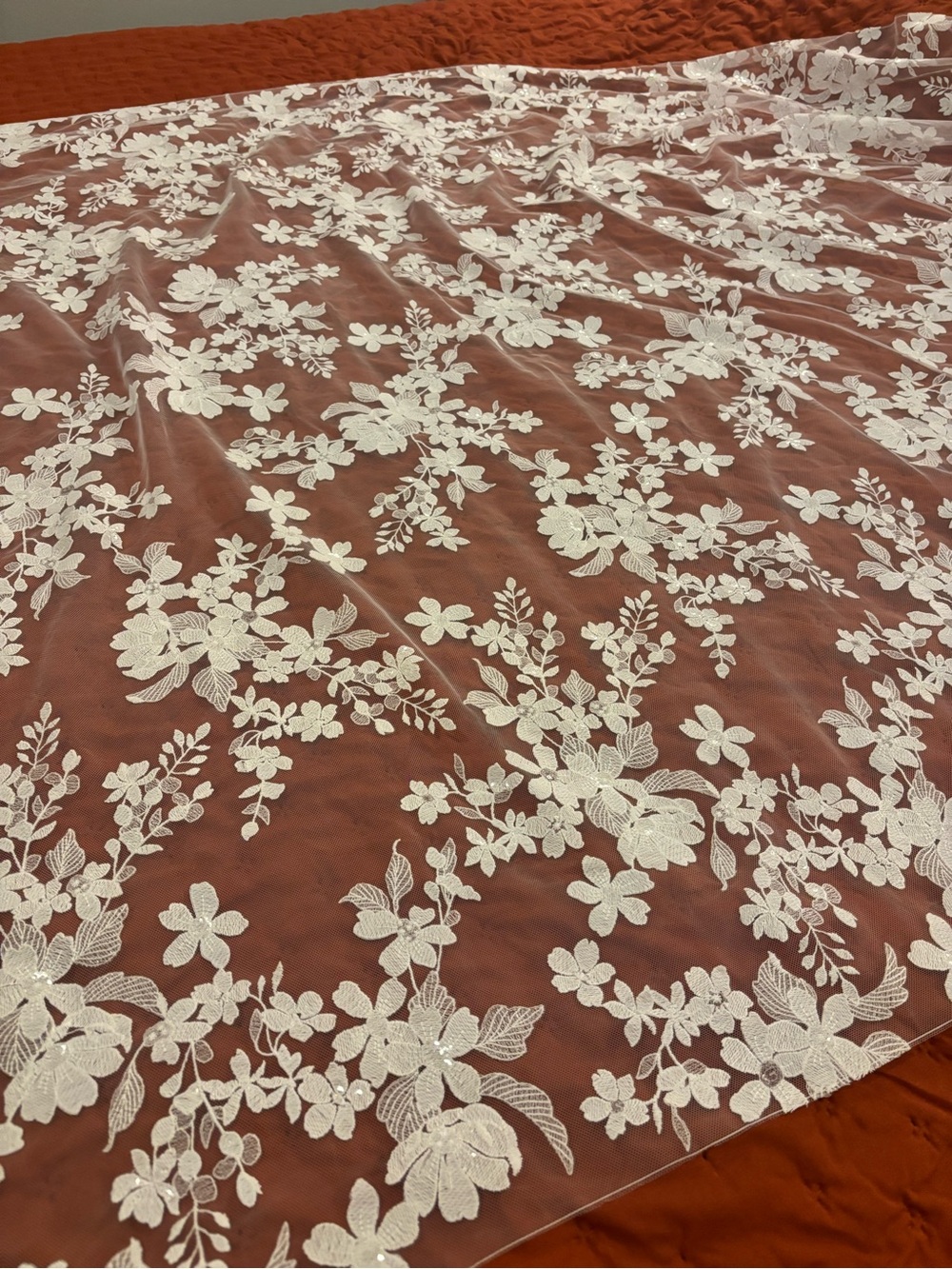 Sara Gabriel Micaela Lace Veil in Natural/Ivory - Picture 6 of 8